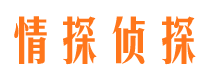 临县市婚外情调查